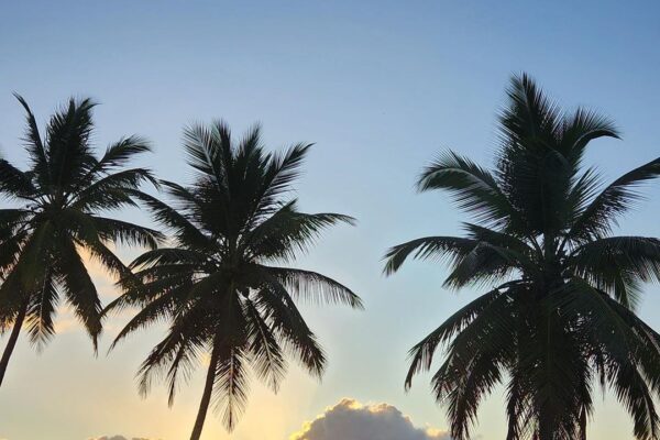 sanset-coqueiros