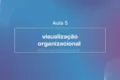Aula 5 - Visualização Organizacional